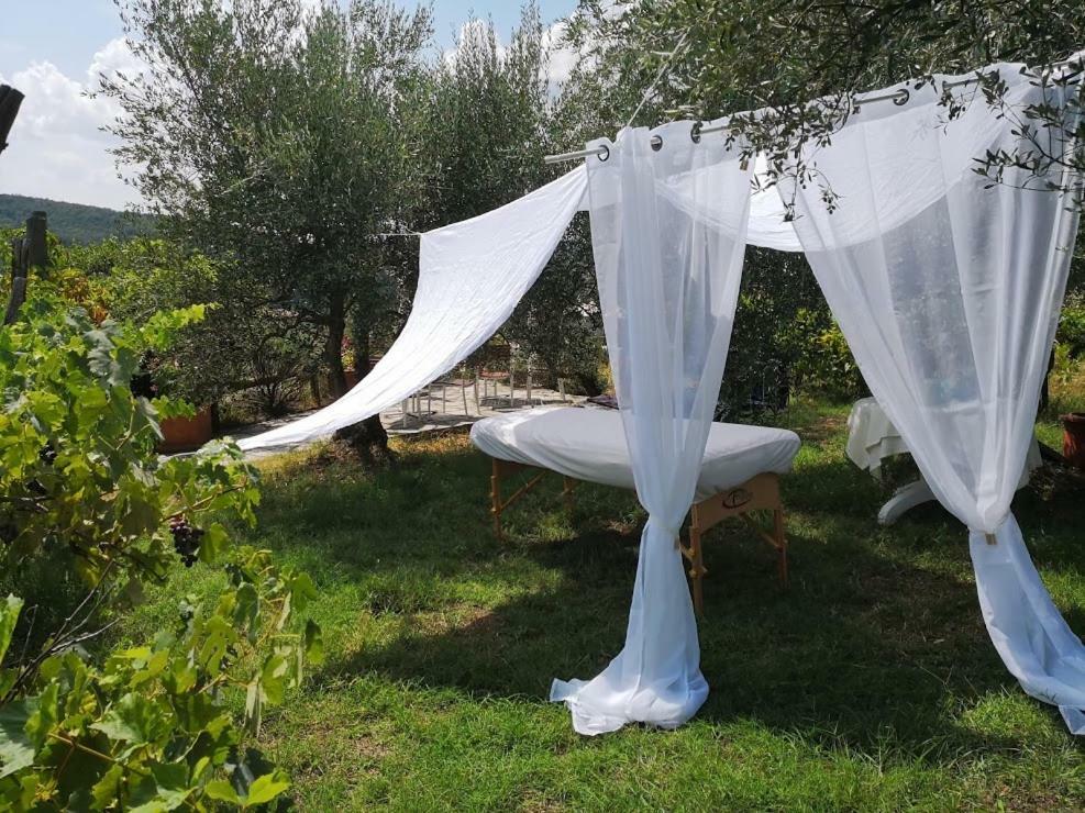 奇维泰拉中·因瓦尔迪Casa Del Tramonto公寓 外观 照片
